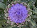 Thumbnail for version as of 12:19, 21 June 2007