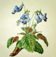 Thumbnail for version as of 10:27, 29 April 2025