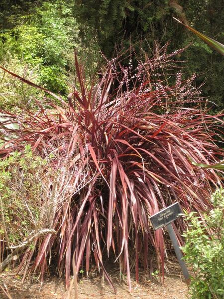 File:576px-IMG 7335 hunt09jun.jpg