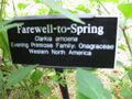Thumbnail for version as of 09:54, 29 April 2025