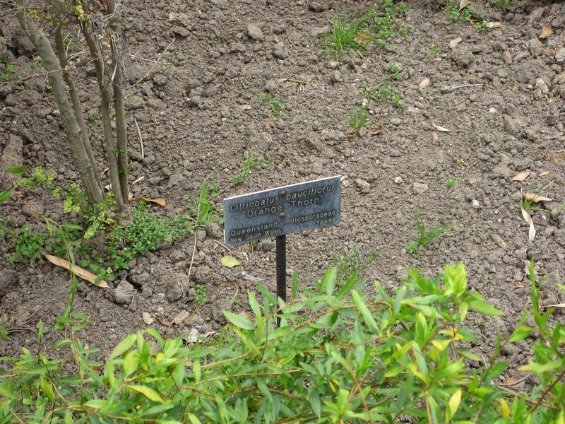 File:1024px-IMG 4654 hunt0904.jpg