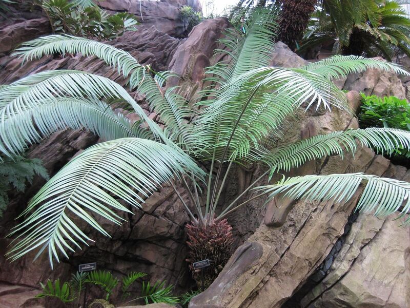 File:1280px-IMG 0909 bbg09.jpg