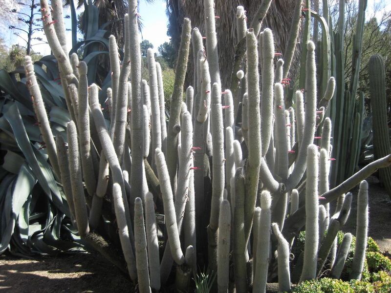 File:1280px-IMG 2164 hunt0903.jpg