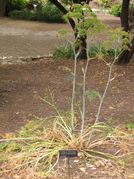 File:576px-IMG 6943 hunt09jun.jpg