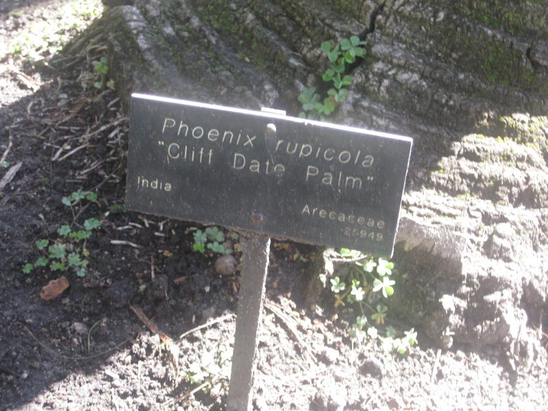File:IMG 2099 hunt0903.jpg
