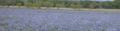 Thumbnail for version as of 14:28, 12 July 2007
