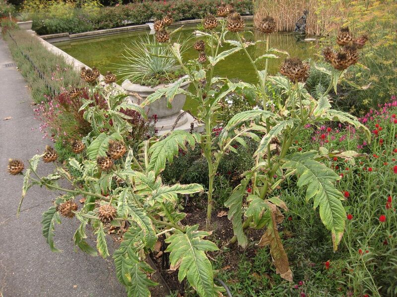 File:1280px-IMG 1415 bbg09.jpg