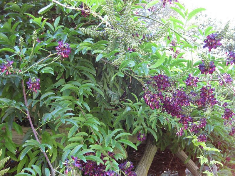 File:1280px-IMG 1873 hunt09oct.jpg