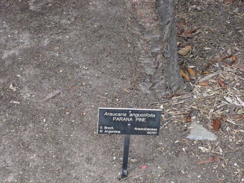 File:1280px-IMG 4466 hunt0904.jpg