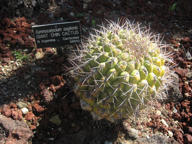 File:1280px-IMG 2470 hunt0903.jpg