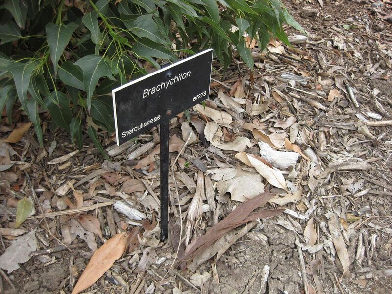 File:1280px-IMG 4791 hunt0904.jpg