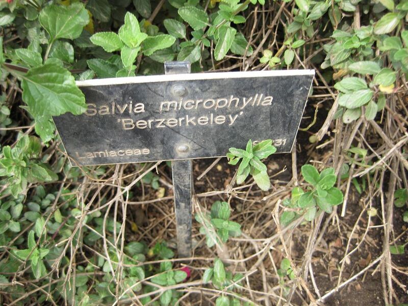 File:1280px-IMG 5085 hunt0904.jpg