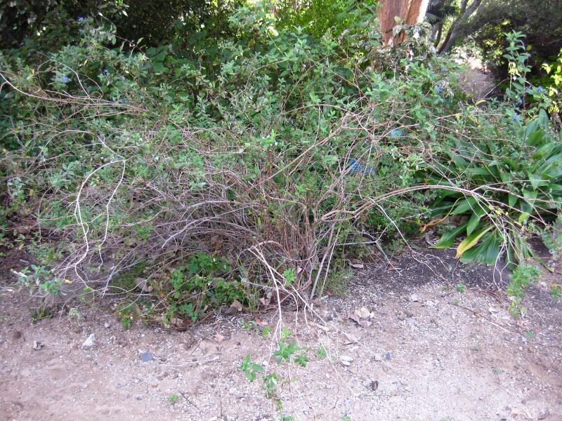 File:Huhf2b0kq32qwfzpjt9p3x1a3jtpd2k.jpg