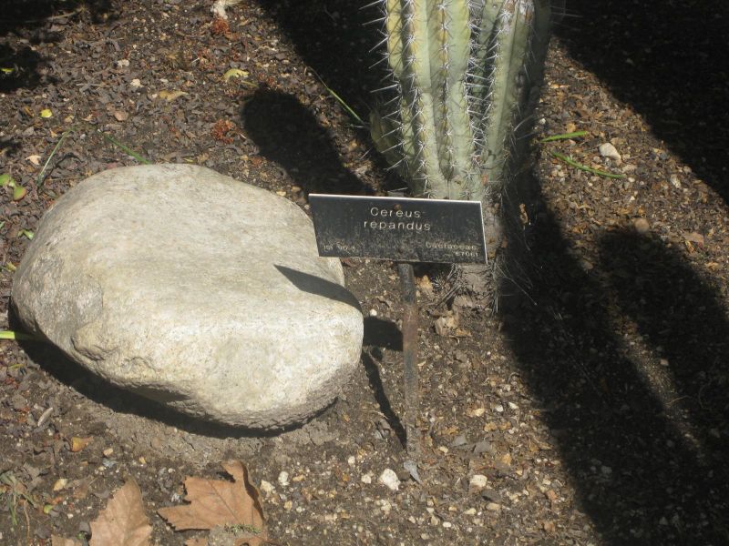 File:IMG 2238 hunt0903.jpg