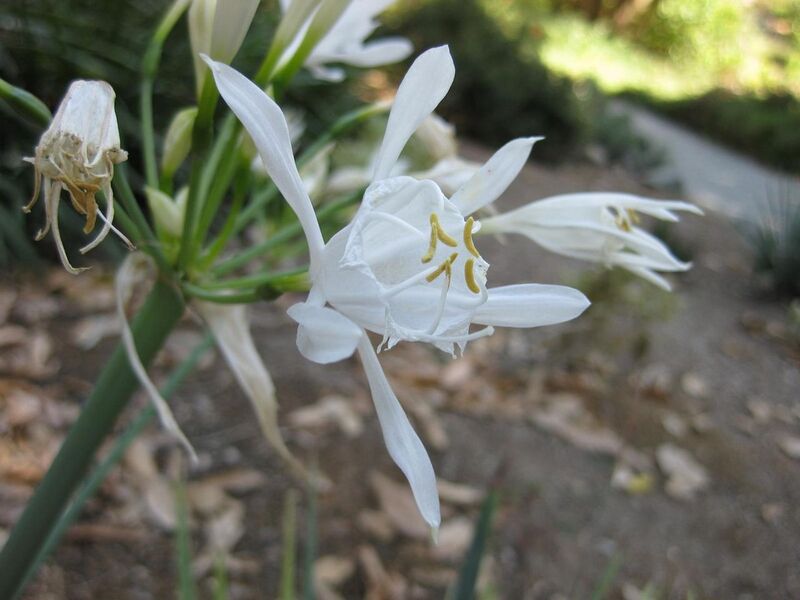 File:1280px-IMG 1891 hunt09oct.jpg