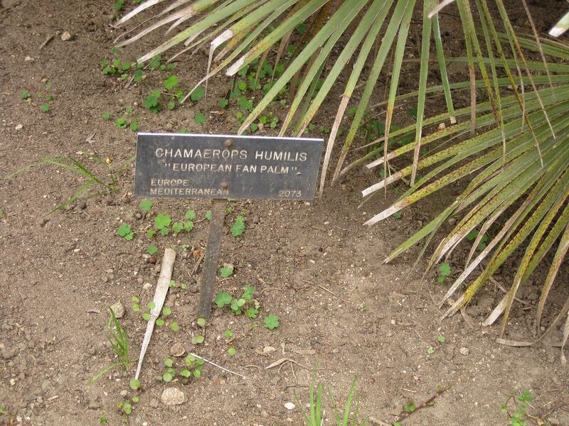 File:1280px-IMG 4006 hunt0904.jpg