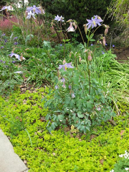 File:IMG 5195 hunt0904.jpg