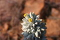 Thumbnail for version as of 04:42, 15 April 2007