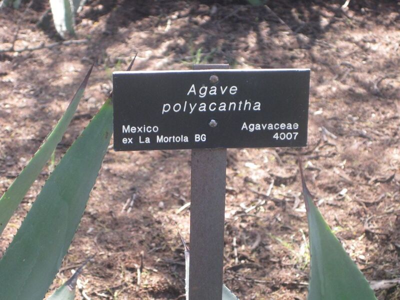 File:1024px-IMG 2359 hunt0903.jpg