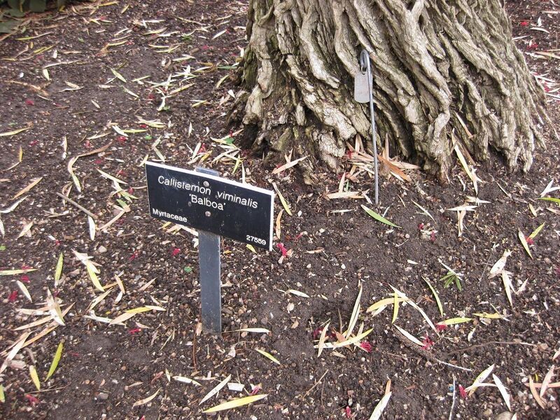 File:1280px-IMG 5066 hunt0904.jpg