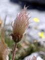 Thumbnail for version as of 04:35, 4 May 2007