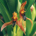 Thumbnail for version as of 12:31, 2 May 2007