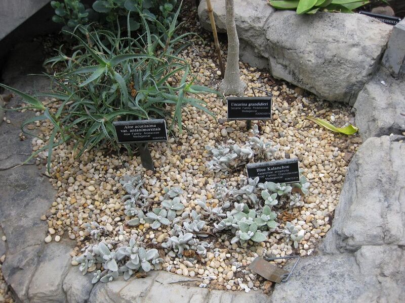 File:1280px-IMG 1255 bbg09.jpg