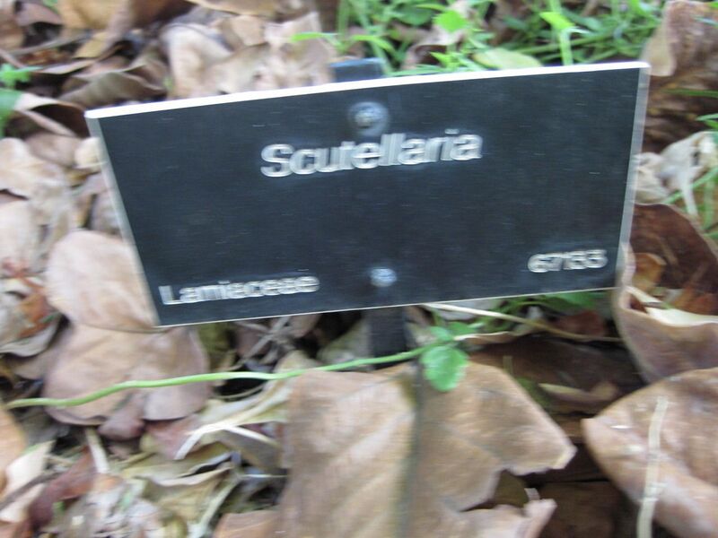 File:1280px-IMG 2014 hunt09oct.jpg