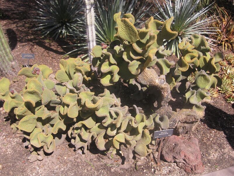 File:1280px-IMG 2241 hunt0903.jpg