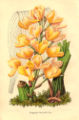 Thumbnail for version as of 12:04, 6 July 2007