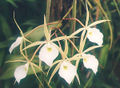 Thumbnail for version as of 10:33, 26 June 2007