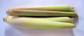 Thumbnail for version as of 06:33, 20 October 2007