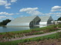 Thumbnail for version as of 07:33, 16 September 2007
