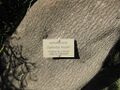 Thumbnail for version as of 10:07, 29 April 2025