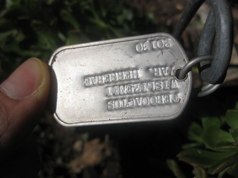 File:1280px-IMG 2174 hunt0903.jpg