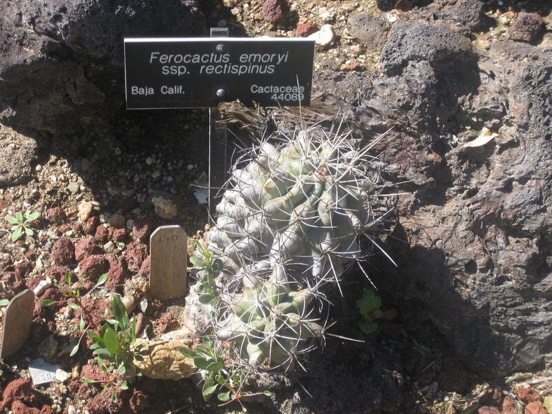 File:1280px-IMG 2430 hunt0903.jpg