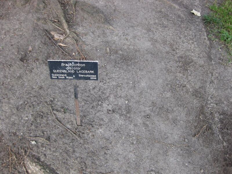 File:1280px-IMG 4470 hunt0904.jpg