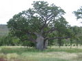 Thumbnail for version as of 17:52, 7 November 2007