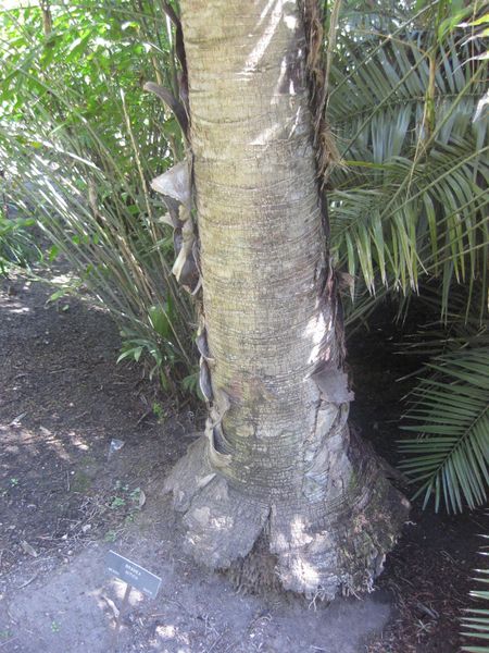 File:IMG 2074 hunt0903.jpg