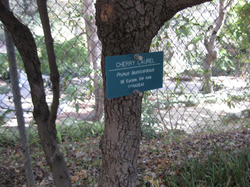 File:IMG 2398 ucla09.jpg