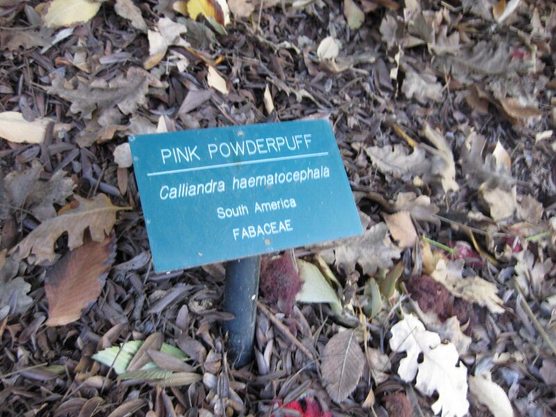 File:Rpbytyvjdjtcm4f5ne0al7656og86ue.jpg