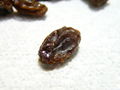 Thumbnail for version as of 18:35, 5 November 2007