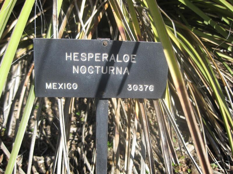 File:1280px-IMG 2223 hunt0903.jpg