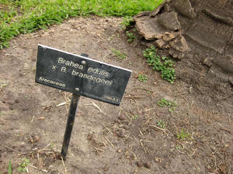 File:1280px-IMG 4075 hunt0904.jpg