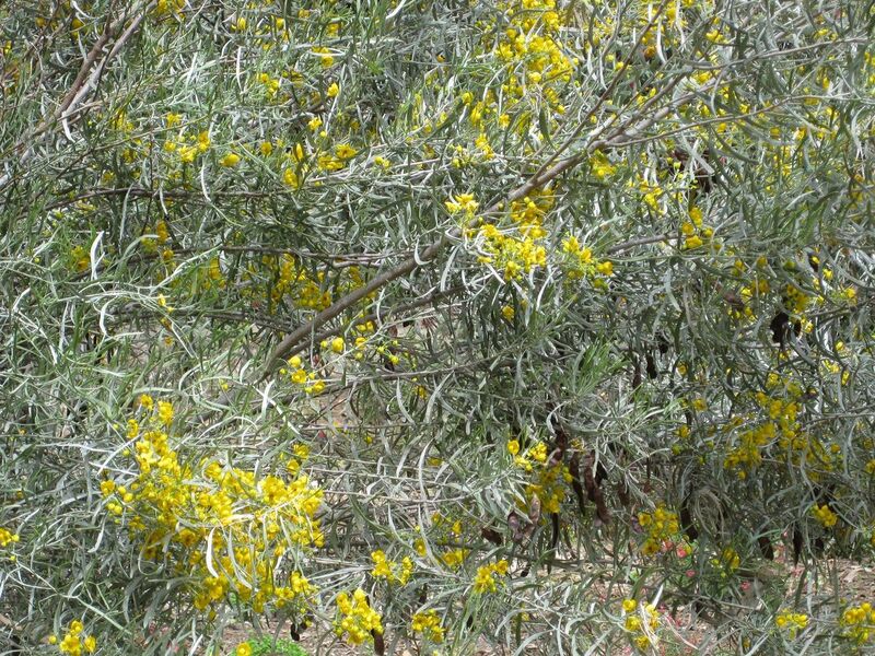 File:1280px-IMG 4531 hunt0904.jpg