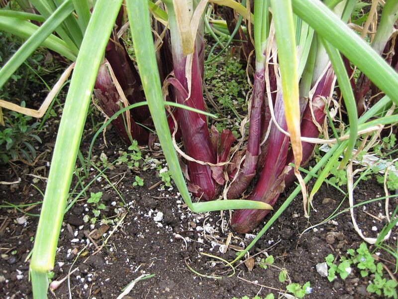 File:1280px-IMG 5326 hunt0904.jpg