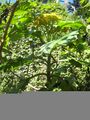 Thumbnail for version as of 10:34, 29 April 2025