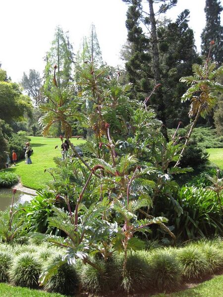 File:576px-IMG 4189 hunt0904.jpg