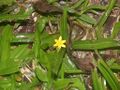 Thumbnail for version as of 09:03, 29 April 2025