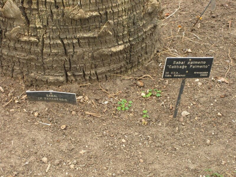 File:1280px-IMG 3861 hunt0904.jpg